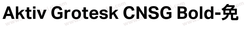 Aktiv Grotesk CNSG Bold字体转换